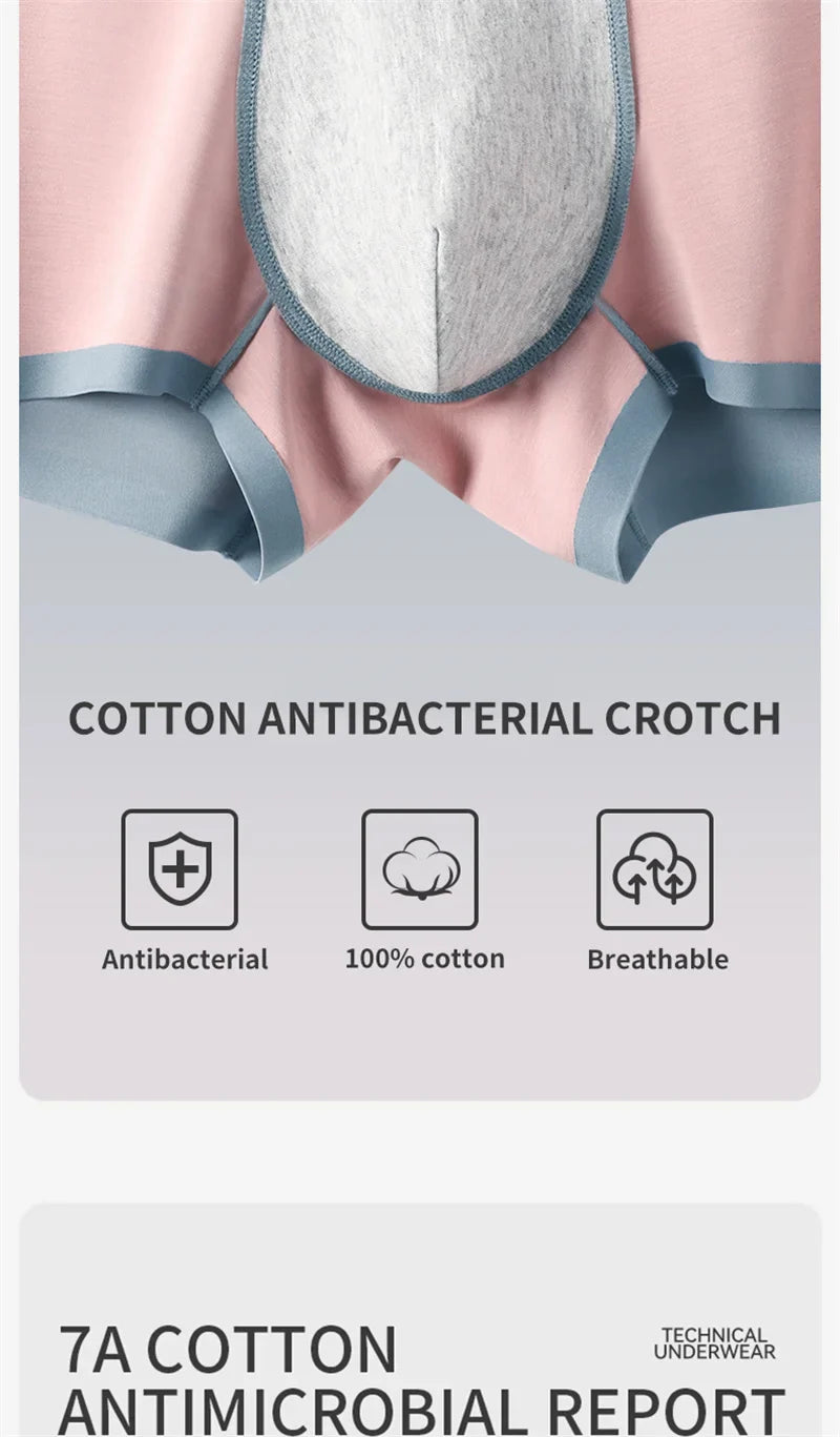 MiiOW Dry Breathable Summer Men's Panties Set Seamless Sexy Men Underwear Boxers Cotton Crotch Man Underpants Male Boxer Briefs