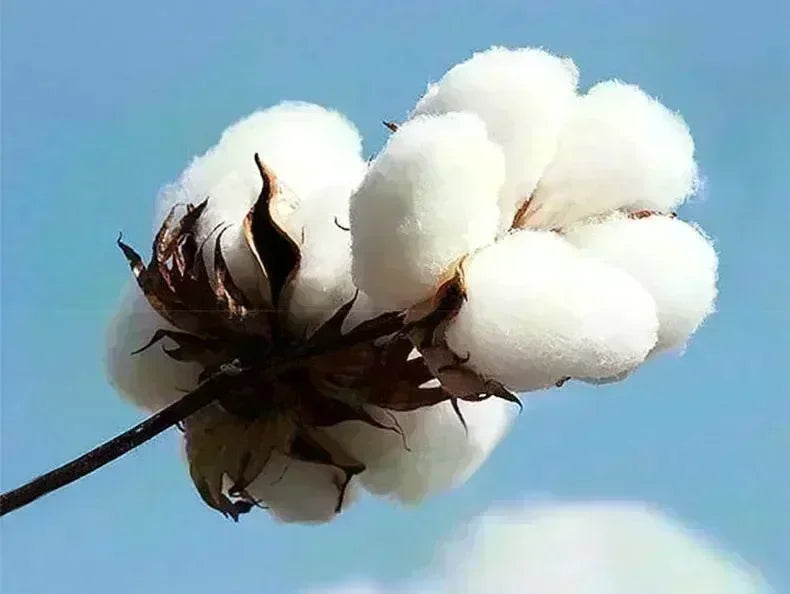 Large Cotton Men's Creative Digital 10 Printed Short Sleeved T-shirt for Men Explosive Street Loose Half Sleeved Hip-hop Top