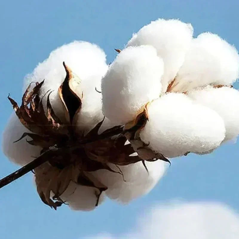 Large Cotton Men's Creative Digital 10 Printed Short Sleeved T-shirt for Men Explosive Street Loose Half Sleeved Hip-hop Top