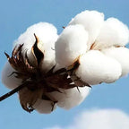 Large Cotton Men's Creative Digital 10 Printed Short Sleeved T-shirt for Men Explosive Street Loose Half Sleeved Hip-hop Top