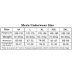 Lightweight Ice Silk Mens Underwear Elastic waistband Boyshorts Cotton 3D-Pouth Youth Boxer shorts Loose Male Boxer Underpants