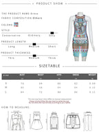 Weird Puss Aesthetic Print Dress Women See Through Sleeveless Skinny Colorful Hipster Skinny o-Neck Summer Trend Club Bodycon