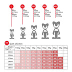 MiiOW Dry Breathable Summer Men's Panties Set Seamless Sexy Men Underwear Boxers Cotton Crotch Man Underpants Male Boxer Briefs