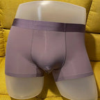 High Quality Men's Ice Silk Underwear Summer Thin Breathable Seamless Panties Sexy Male Underpants Plus Size Boxer Shorts