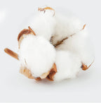 Men's and Women's Cotton T-Shirts Summer Letter Printed T-Shirts Basic Round Neck T-shirt Fashion Casual Short Sleeved Top Tees