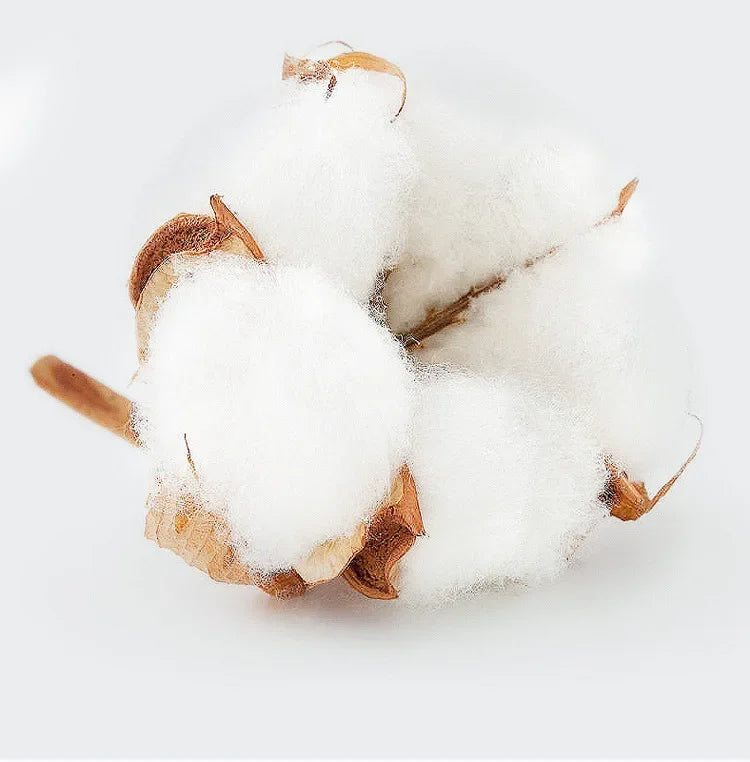 Men's and Women's Cotton T-Shirts Summer Letter Printed T-Shirts Basic Round Neck T-shirt Fashion Casual Short Sleeved Top Tees